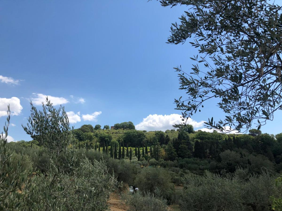 Montevenere 83 Holiday home Chiusi