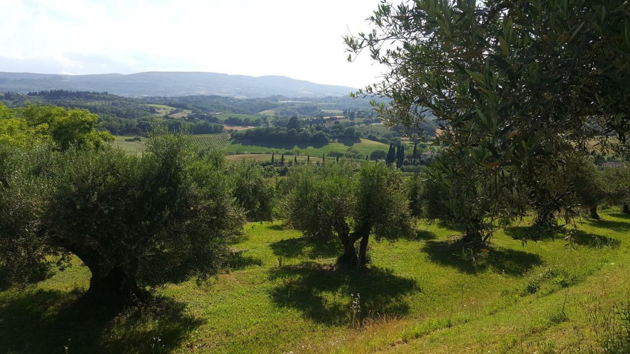 Montevenere 83 Holiday home Chiusi