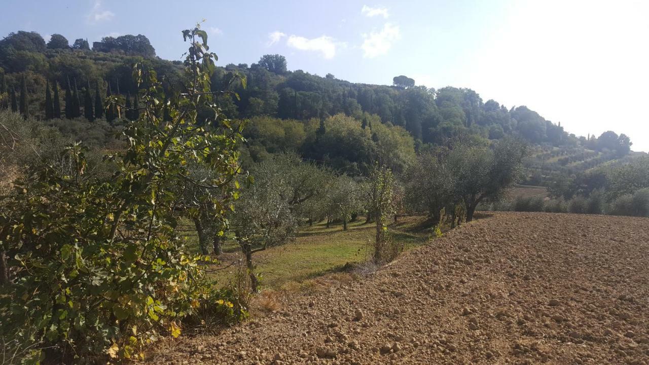 Montevenere 83 * Chiusi