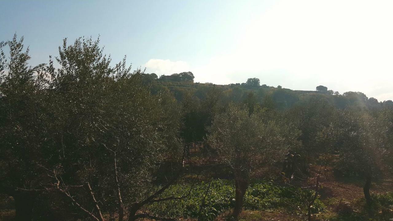 Casa vacanze Montevenere 83 Chiusi